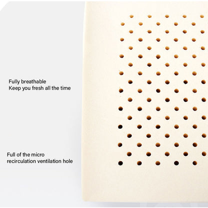 Firm Natural Organic Latex Lumbar Support Cushion – Lower Back Pain Relief Support for Office & Car